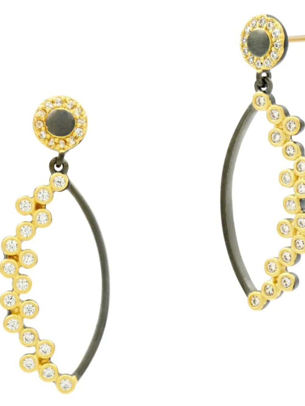 Freida Rothman - Midnight Oval Hoop Earring - Gold & Black